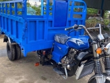 Giá xe ba gác Nam Định mới nhất tại TPHCM
